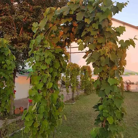 Готель Rohi Царево